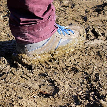 Mud, glorius mud!
